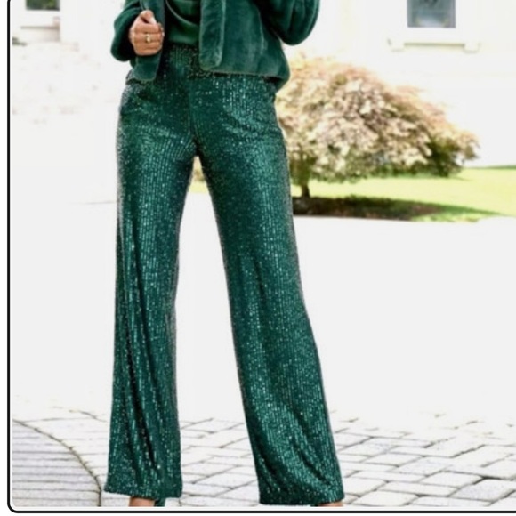 Badgley Mischka Pants - NWT Badgley Mischka
Belle by Badgley Mischka Iris Sequin Flat Front